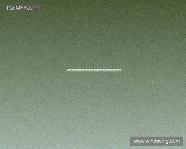 U体育官方入口账号登录遇到问题怎么办，详细解决方案帮助用户顺利进入平台